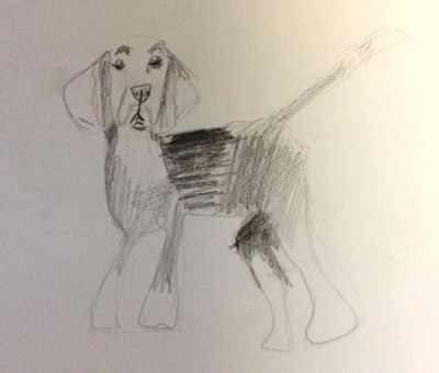 Draw a dog